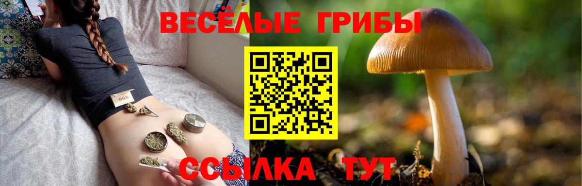 Галлюциногенные грибы мухоморы Балабаново